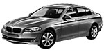 BMW F10 P391A Fault Code